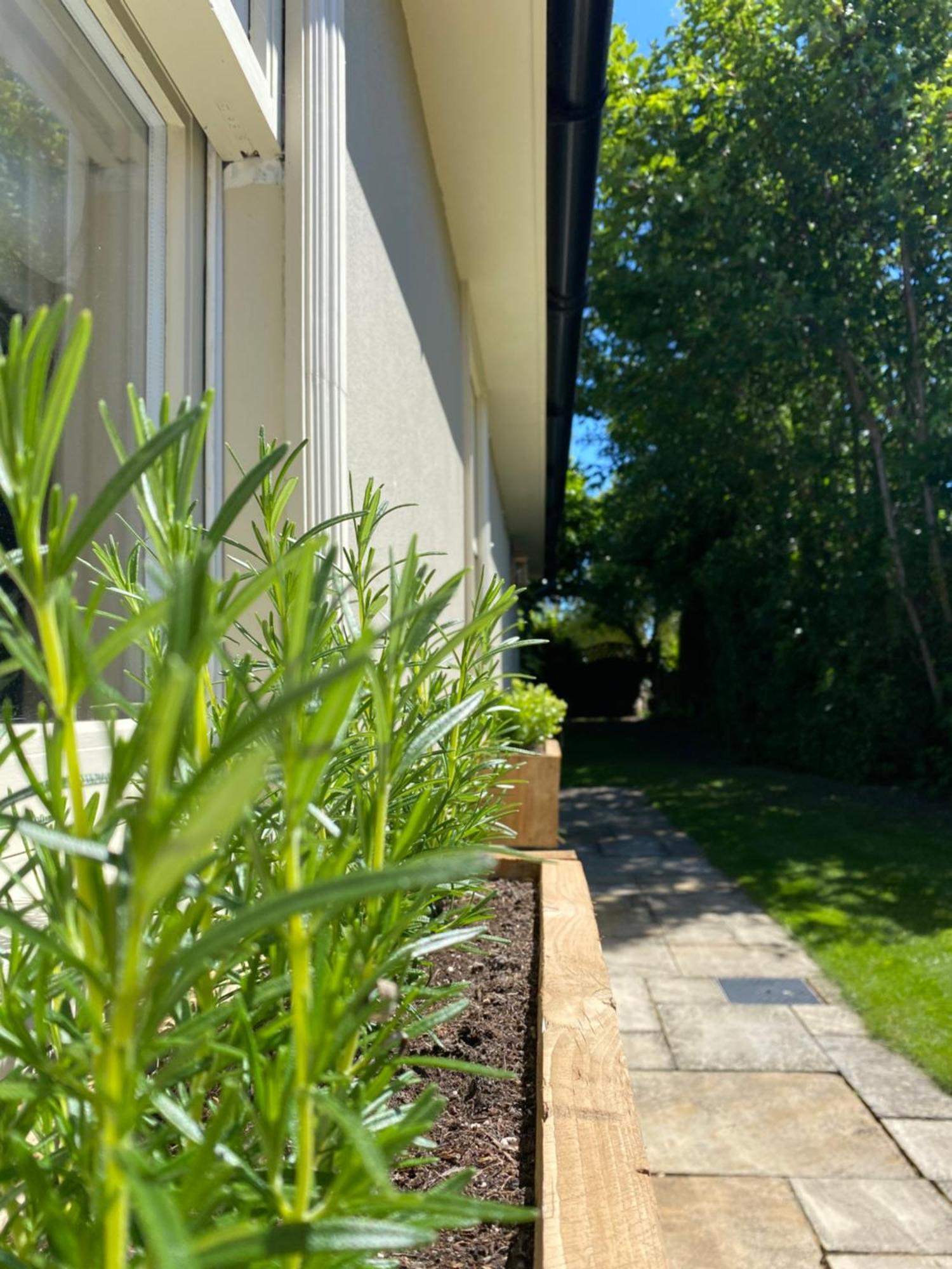 Enchanting 1 Bedroom Home With Kitchen Saffron Walden Zewnętrze zdjęcie